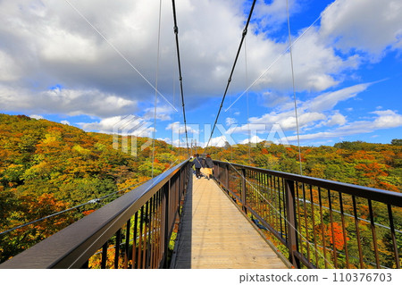 Nasu Highland Azalea Suspension Bridge/Nasu Town, Tochigi Prefecture Nasu Highland Azalea Suspension Bridge/Nasu Town, Tochigi Prefecture 110376703