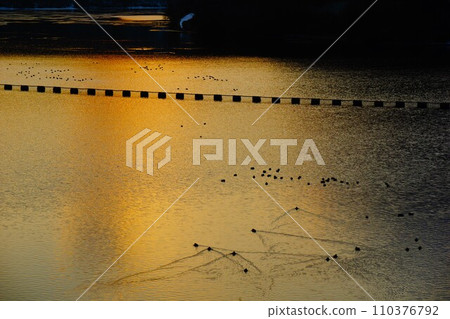 夕陽倒映在堀川水庫的水庫湖中 110376792