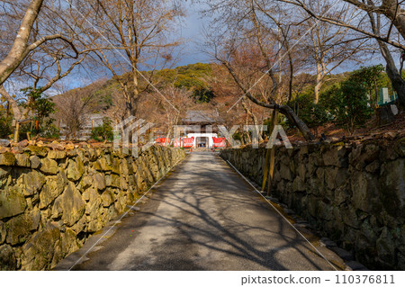 Kyoto Koshoji Temple scenery 110376811