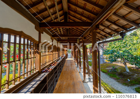 Kyoto Koshoji Temple scenery 110376813