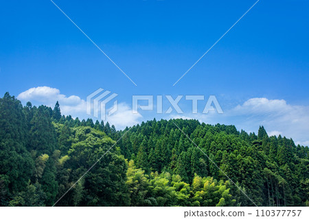 杉山山脊線和藍天 杉山山脊線和藍天 110377757