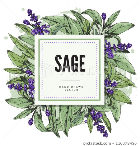Decorative squared frame with hand drawn sage flowers and leaves Decorative squared frame with hand drawn sage flowers and leaves 110378456