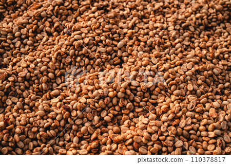 Coffee beans are being dried in a drying plant 110378817