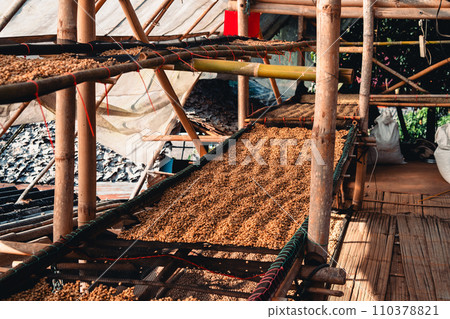Coffee beans are being dried in a drying plant 110378821
