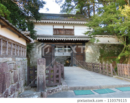 Major gates of Lotus Castle 110379115