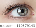 Close-up of the eyes of a young woman with makeup. Concept of natural cosmetics and eye look. "AI image generation" 110379143