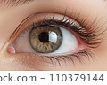 Close-up of the eyes of a young woman with makeup. Concept of natural cosmetics and eye look. "AI image generation" 110379144