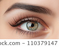 Close-up of the eyes of a young woman with makeup. Concept of natural cosmetics and eye look. "AI image generation" 110379147