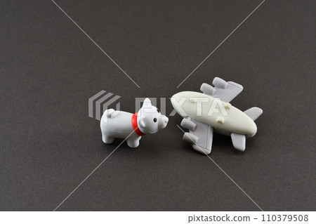 Image of plane crash and pet problem Image of plane crash and pet problem 110379508