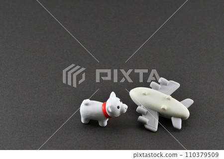 飛機失事和寵物問題的圖像 飛機失事和寵物問題的圖像 110379509