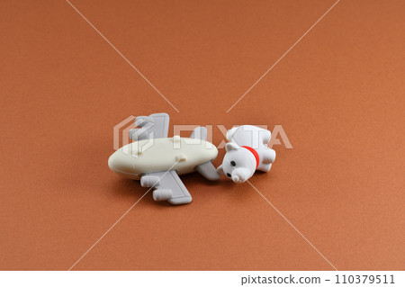 Image of plane crash and pet problem 110379511