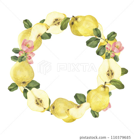 Watercolor quince wreath. Whole and sliced quince fruits, leaves and flowers. Hand drawn frame isolated on white background perfect for packaging, invitations. 110379685