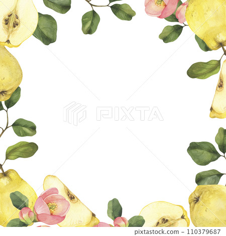 Watercolor quince frame. Whole and sliced quince fruits, leaves and flowers. Hand drawn frame isolated on white background perfect for packaging, invitations. 110379687
