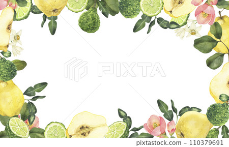 Watercolor bergamot and quince illustration. Whole and sliced bergamot and quince fruits, leaves and flowers. Hand drawn frame isolated on white background perfect for packaging, invitations. 110379691