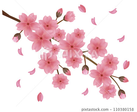 花瓣舞動的背景素材-櫻花插畫 花瓣舞動的背景素材-櫻花插畫 110380158