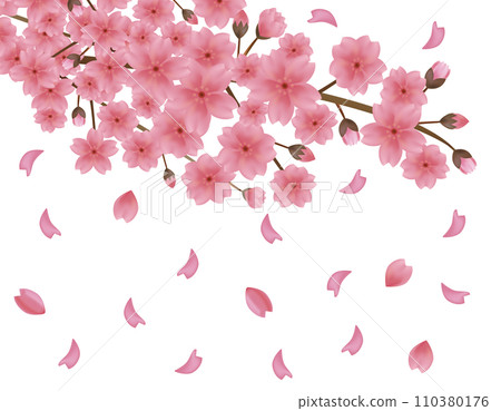 Background material with dancing petals - Illustration of cherry blossoms Background material with dancing petals - Illustration of cherry blossoms 110380176