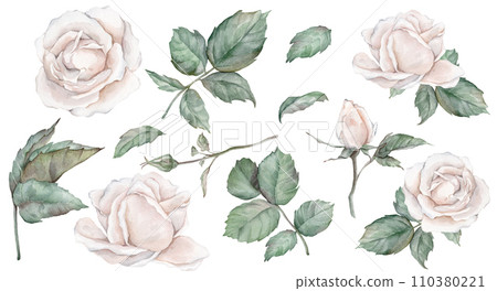 Set elements of white rose, collection garden flowers, leaves. Clipart watercolor hand painting illustration on isolate white background. For bouquets, wreaths, wedding invitations, anniversary Set elements of white rose, collection garden flowers, leaves. Clipart watercolor hand painting illustration on isolate white background. For bouquets, wreaths, wedding invitations, anniversary 110380221