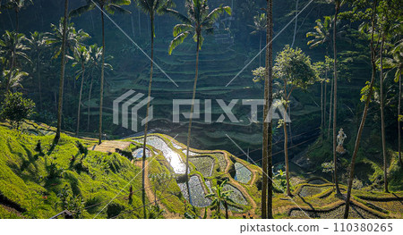 德格拉朗梯田風景 110380265