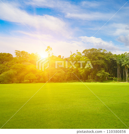 Beautiful park with green lawn at sunrise. 110380856