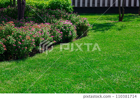 landscape design of a park with flowering bushes and green grass on a sunny spring day, nobody. 110381714