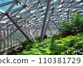 glass roof indoor safety park with green different plants lit by winter sunlight, nobody. 110381729