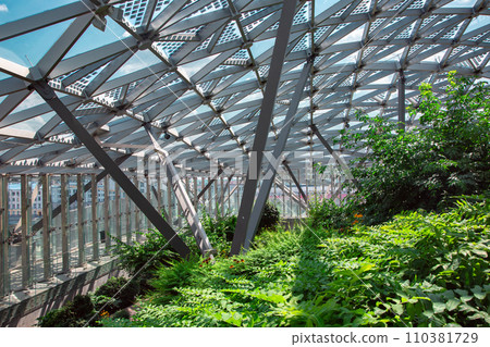 glass roof indoor safety park with green different plants lit by winter sunlight, nobody. glass roof indoor safety park with green different plants lit by winter sunlight, nobody. 110381729