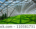 glass roof under the open sky, indoor safety park with green hill and thuja bushes lit by sunlight, nobody. 110381731