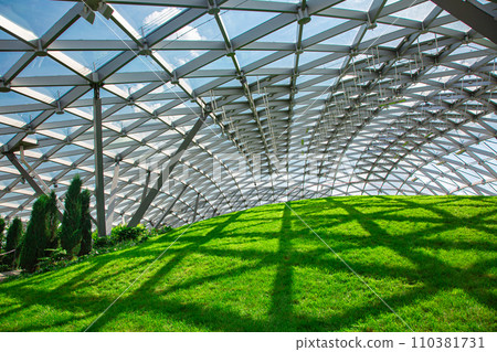 glass roof under the open sky, indoor safety park with green hill and thuja bushes lit by sunlight, nobody. glass roof under the open sky, indoor safety park with green hill and thuja bushes lit by sunlight, nobody. 110381731