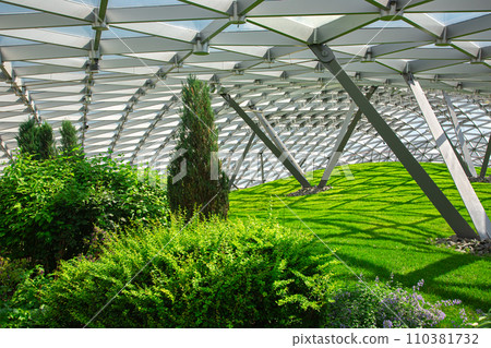 glass roof indoor safety park with green hill and different bushes lit by sunlight, nobody. glass roof indoor safety park with green hill and different bushes lit by sunlight, nobody. 110381732