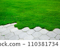pavement with concrete tiles honeycomb pattern and green grass lit by sunlight on the summer park, nobody. 110381734