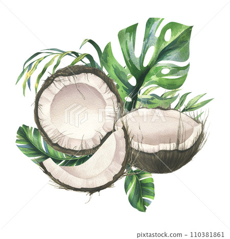 Coconuts whole, halves and pieces with bright, green, tropical palm leaves. Hand drawn watercolor illustration. Pre-made composition isolated from the background. Coconuts whole, halves and pieces with bright, green, tropical palm leaves. Hand drawn watercolor illustration. Pre-made composition isolated from the background. 110381861