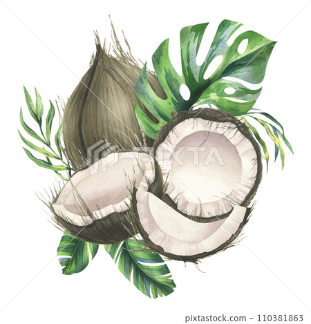 Coconuts whole, halves and pieces with bright, green, tropical palm leaves. Hand drawn watercolor illustration. Pre-made composition isolated from the background. Coconuts whole, halves and pieces with bright, green, tropical palm leaves. Hand drawn watercolor illustration. Pre-made composition isolated from the background. 110381863