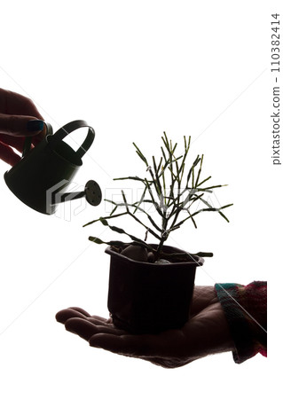 Watering can watering flowers in hands - silhouette concept Watering can watering flowers in hands - silhouette concept 110382414