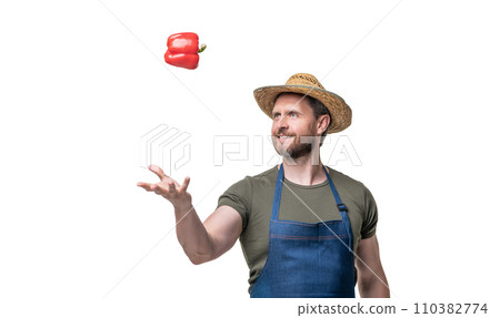 man in apron and hat with sweet pepper vegetable isolated on white. vegetarian man in apron and hat with sweet pepper vegetable isolated on white. vegetarian 110382774