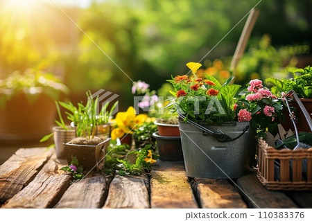 Sunlit garden with gardening tools, plants and flowers Sunlit garden with gardening tools, plants and flowers 110383376