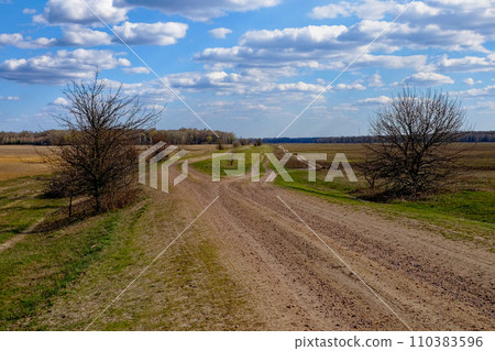 The image shows a long, winding dirt path surrounded by bare trees and grass. The image shows a long, winding dirt path surrounded by bare trees and grass. 110383596