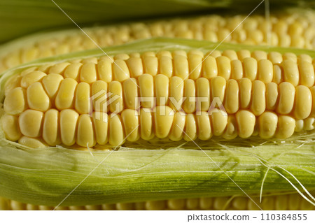 Corn cobs 110384855