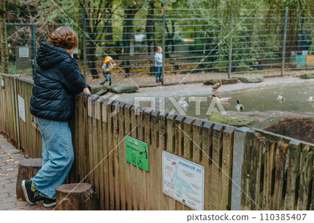 Teenader girl in the zoo. Girl watches in a zoo or nature park reserve. Teenader girl in the zoo. Girl watches in a zoo or nature park reserve. 110385407