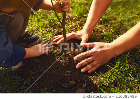 little boy helping his father to plant the tree while working together in the garden. little boy helping his father to plant the tree while working together in the garden. 110385489