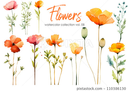 Watercolor painting of flowers and leaf. Hand drawn floral vector elements isolated on white background. 110386130