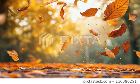 Yellow leaves falling in autumn garden Yellow leaves falling in autumn garden 110386251