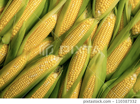 AI-generated content. Heap of corn cobs, top view texture, vegetable background with copy space, AI generated 110387332