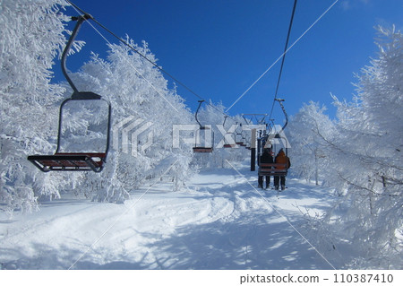 Walking through snow-covered trees Zao Onsen Ski Resort (Yamagata City, Yamagata Prefecture, Japan) Walking through snow-covered trees Zao Onsen Ski Resort (Yamagata City, Yamagata Prefecture, Japan) 110387410