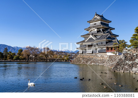 National treasure Matsumoto castle National treasure Matsumoto castle 110388081