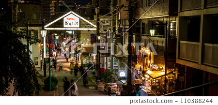 台東區「東京」谷中銀座商店街的夜晚 台東區「東京」谷中銀座商店街的夜晚 110388244