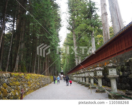 世界遺產日光東照宮的風景 110388268