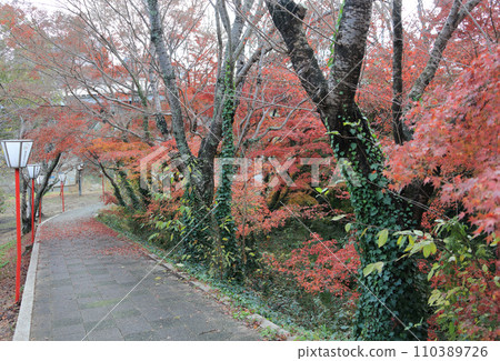 綾宮公園(香川縣瀧宮天滿宮附近、舊金比羅高速公路沿線的綾川河床) 綾宮公園(香川縣瀧宮天滿宮附近、舊金比羅高速公路沿線的綾川河床) 110389726