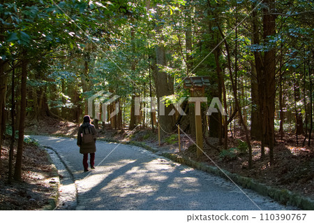 People walking through the Jingu forest 110390767