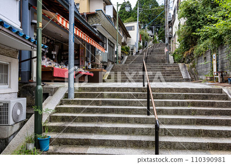 Ikoma Hozanji Temple gate 110390981