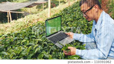 Smart farmer using laptop in eco green farm sustainable quality control. Close up Hand typing laptop computer quality control plant tree. Farmer hands using technology in eco Farmland biotechnology 110391062